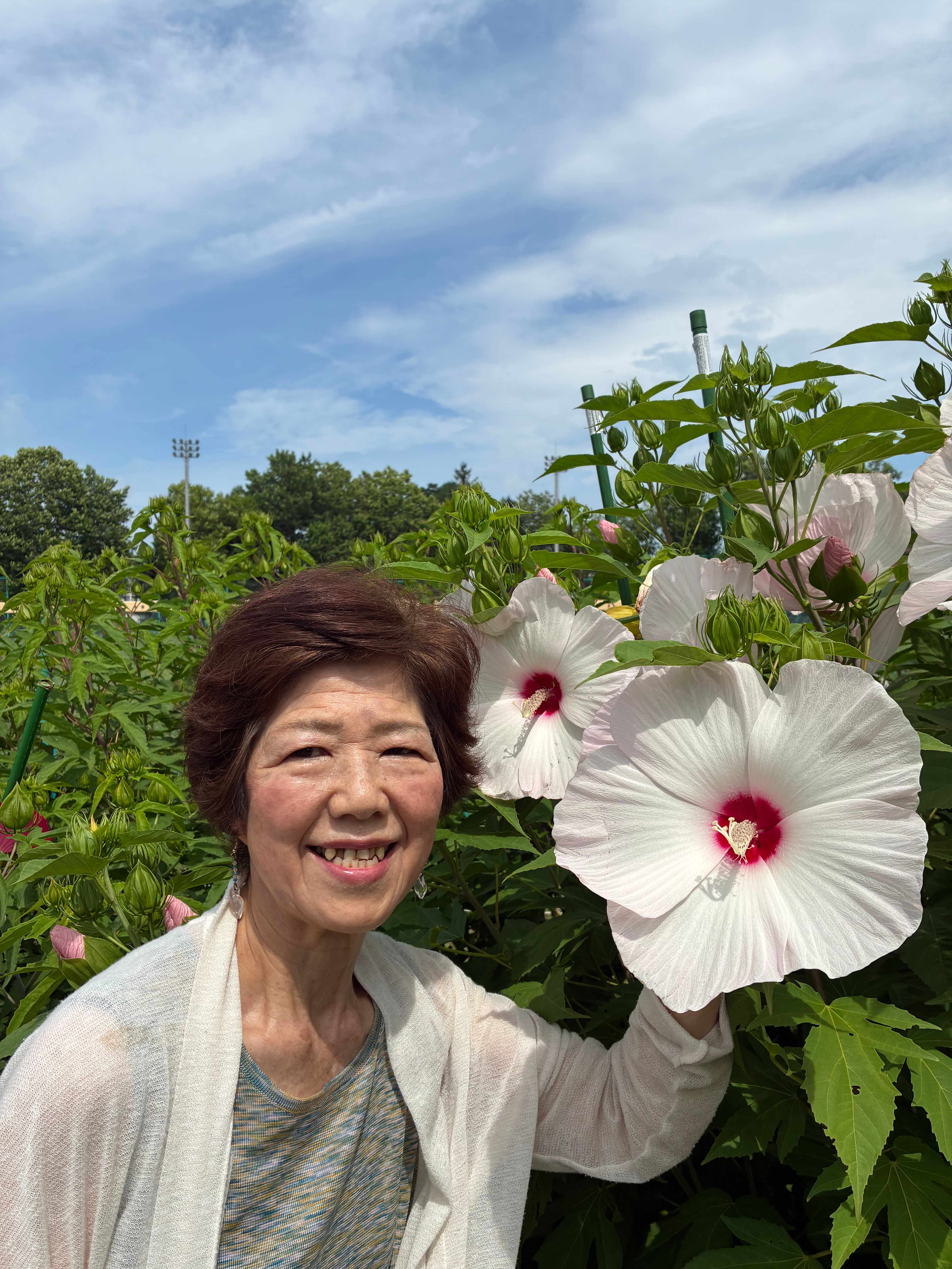 前田加南子と美しい白いハイビスカスの花